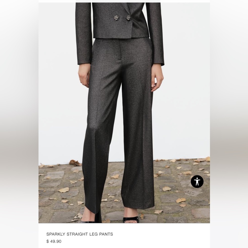 Zara SPARKLY STRAIGHT LEG PANTS